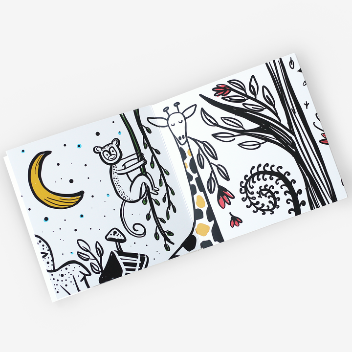 Into the Wild Foldout Book