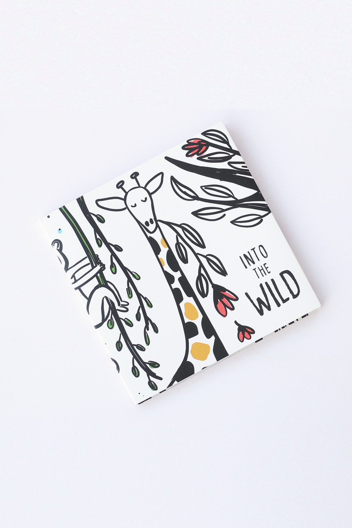 Into the Wild Foldout Book