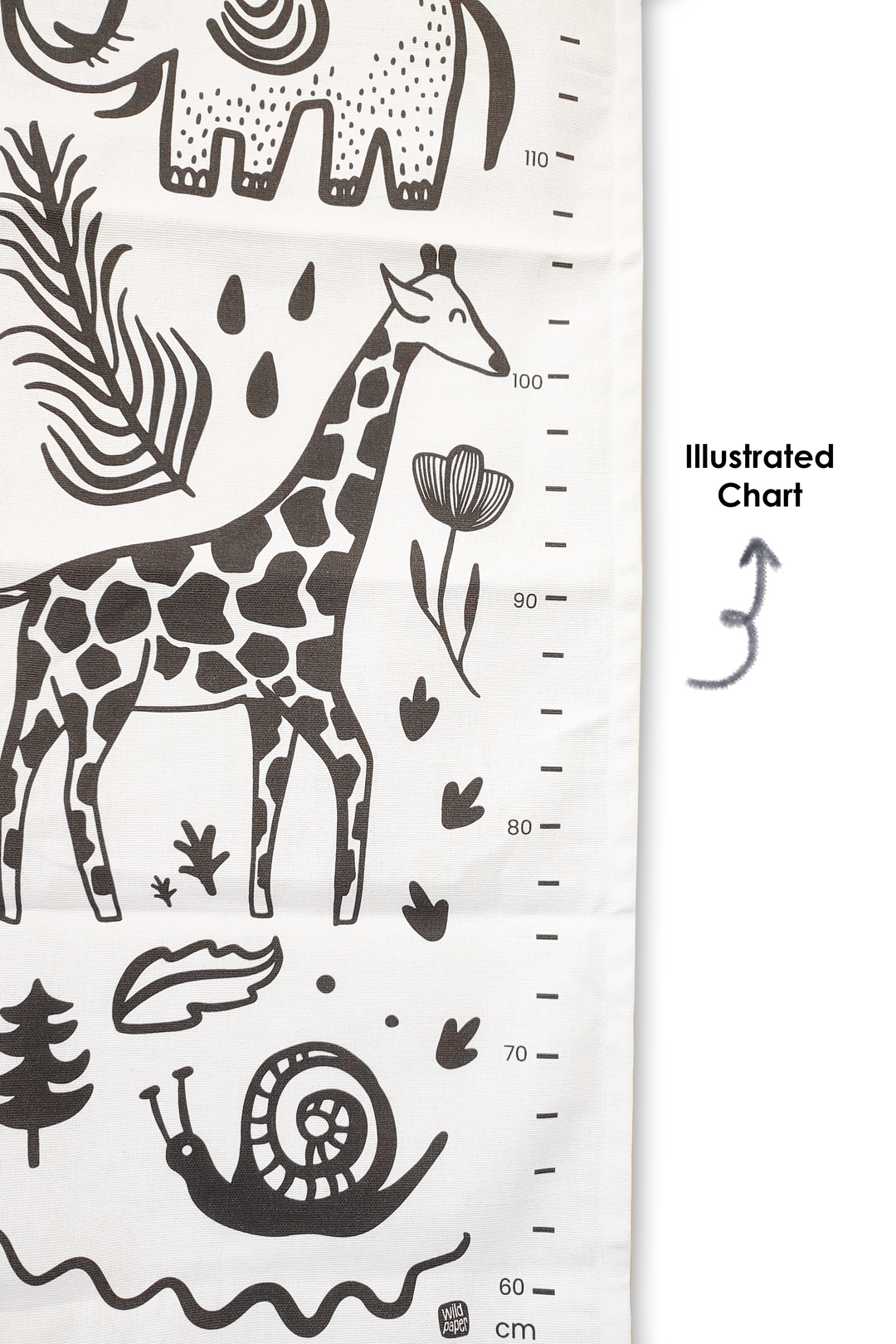 Wild Adventures Growth Chart