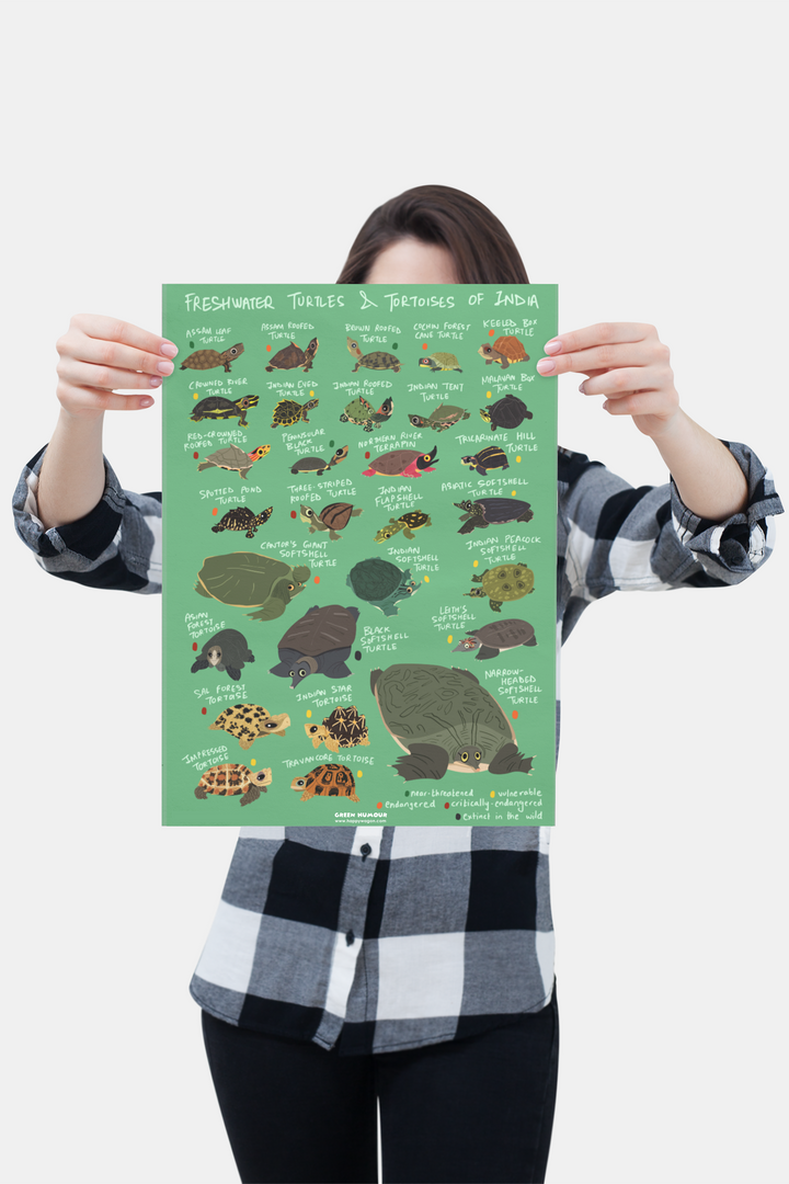 Freshwater Turtles Of India Non-Tearable Poster