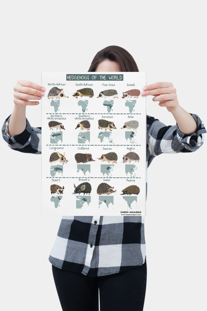 Hedgehogs Of The World Non-Tearable Poster