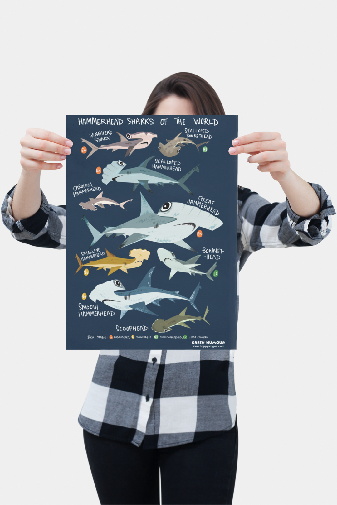 Hammerheads Sharks Of The World Non-Tearable Poster