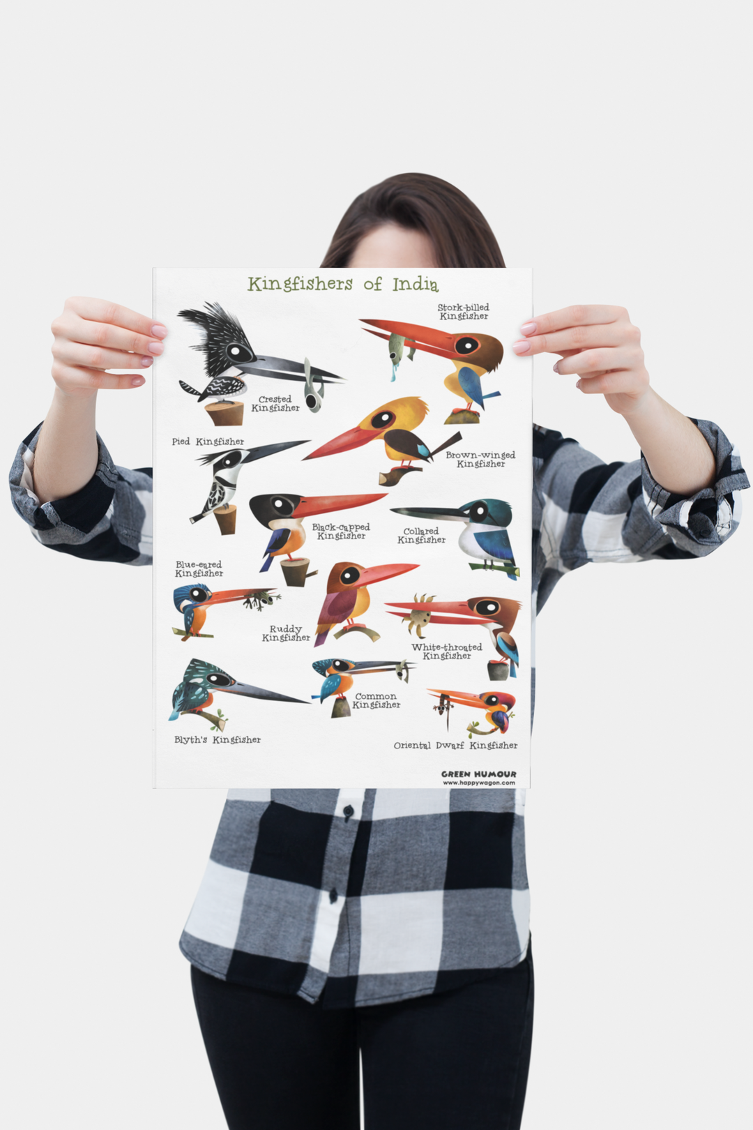 Kingfishers Of India Non-Tearable Poster