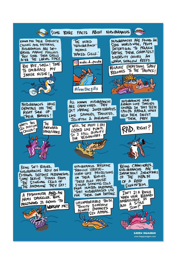 Nudibranchs Non-Tearable Poster