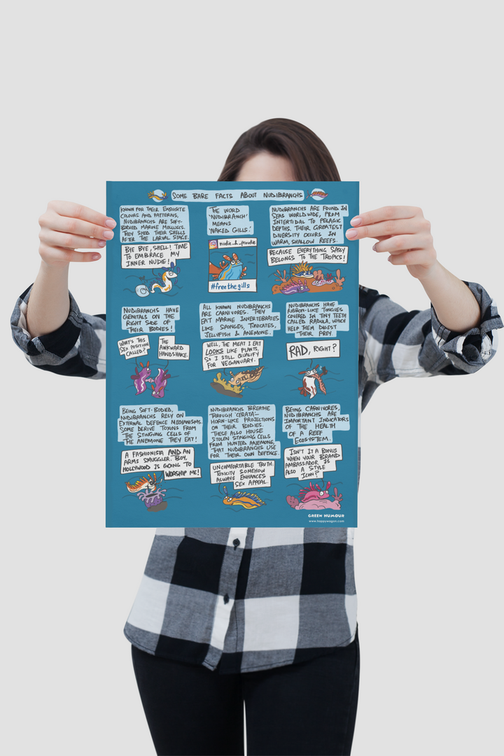 Nudibranchs Non-Tearable Poster