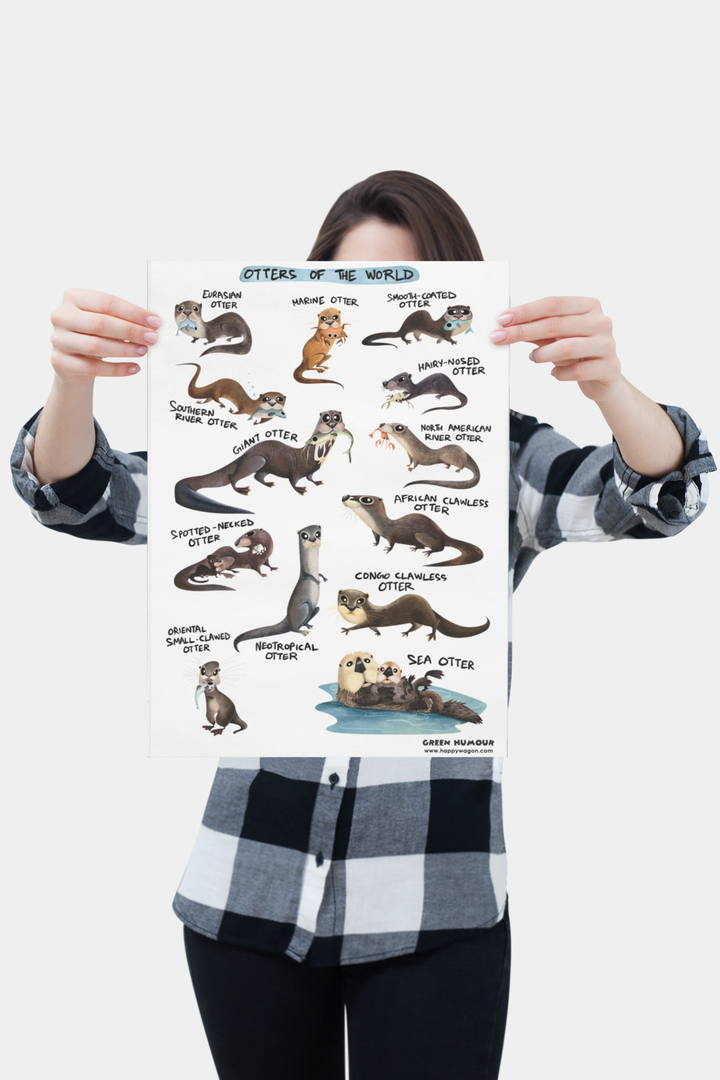 Otters Of The World Non-Tearable Poster