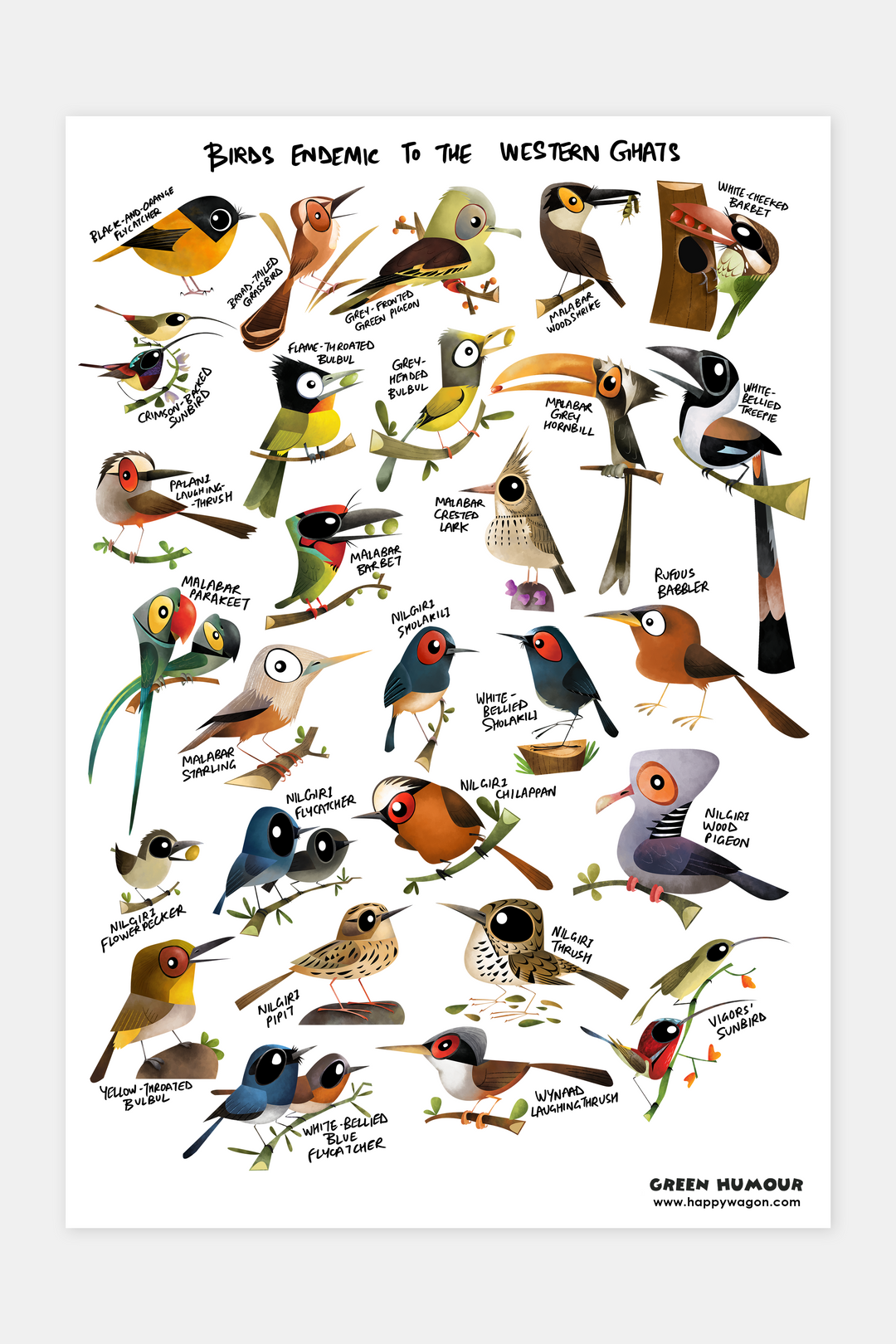 Birds Endemic To Western Ghats Non-Tearable Poster