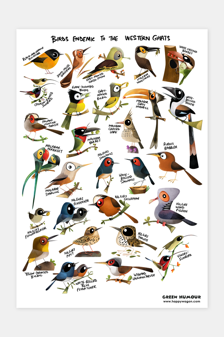 Birds Endemic To Western Ghats Non-Tearable Poster