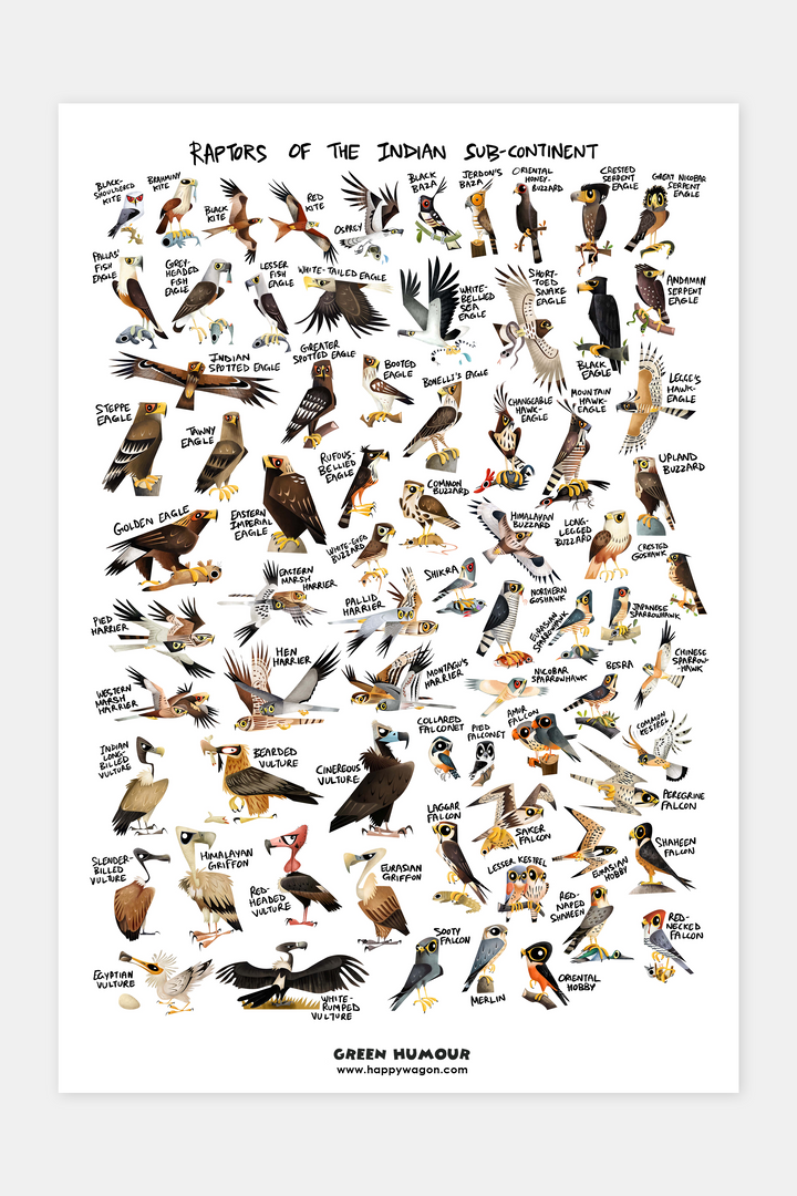 Raptors Of India Non-Tearable Poster