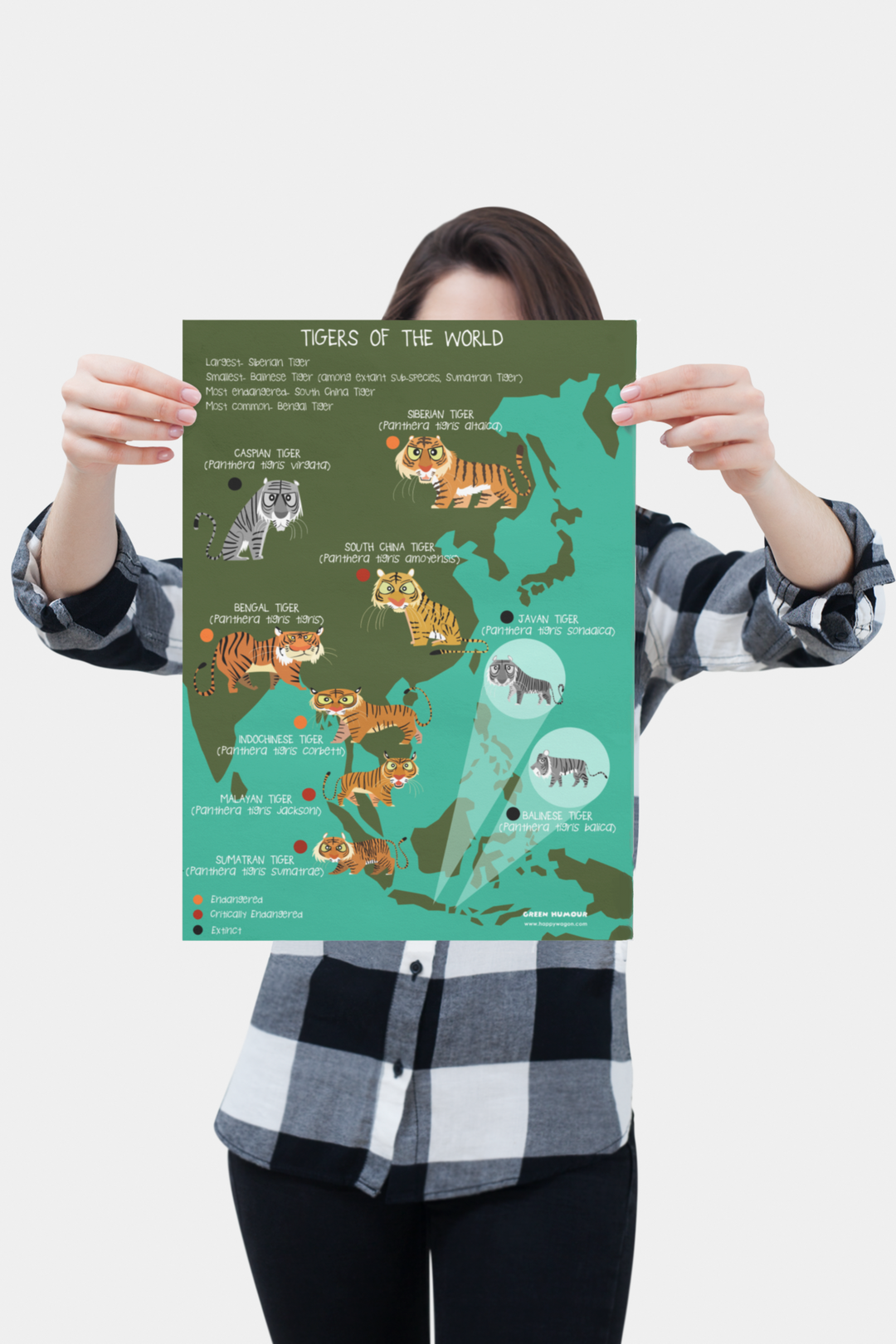 Tigers Of The World (Map) Non-Tearable Poster