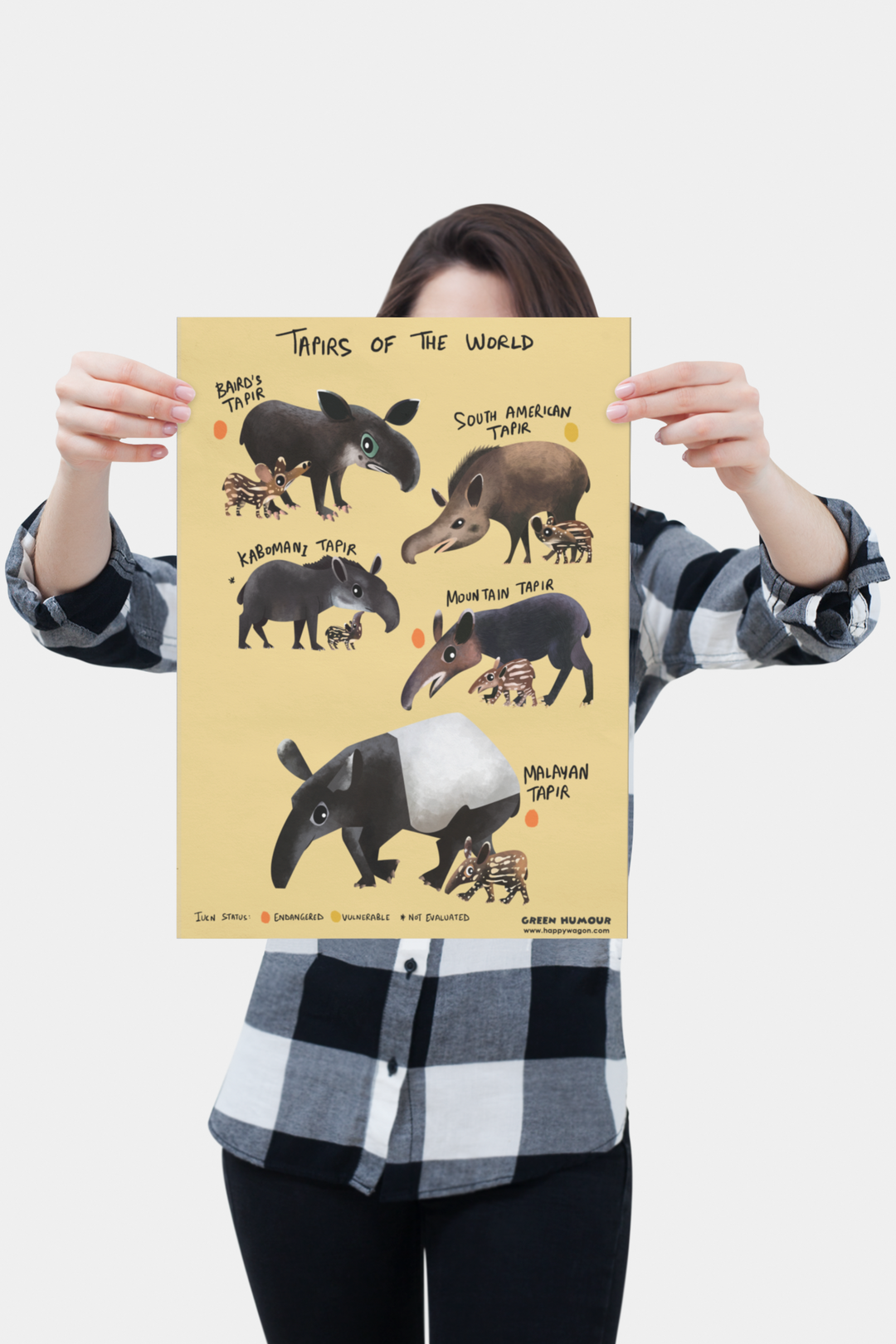 Tapirs Of The World Non-Tearable Poster