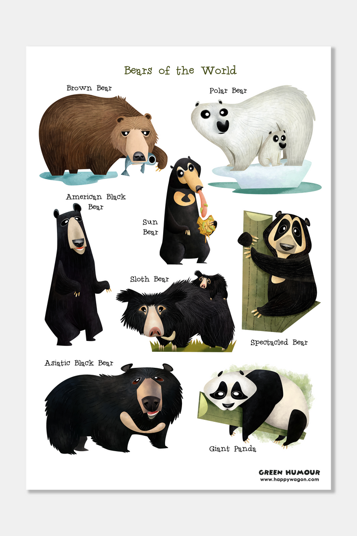 Bears Of The World Non-Tearable Poster