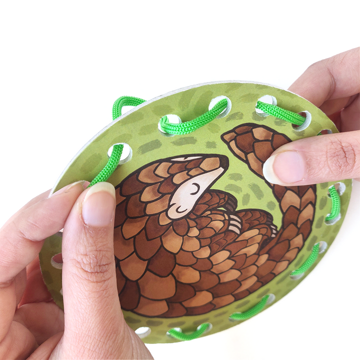 Lacing Cards