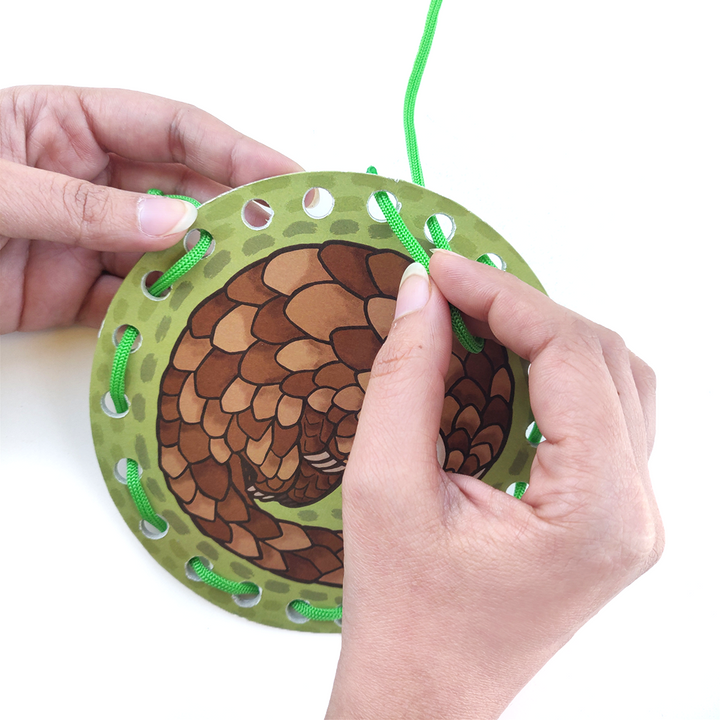 Lacing Cards