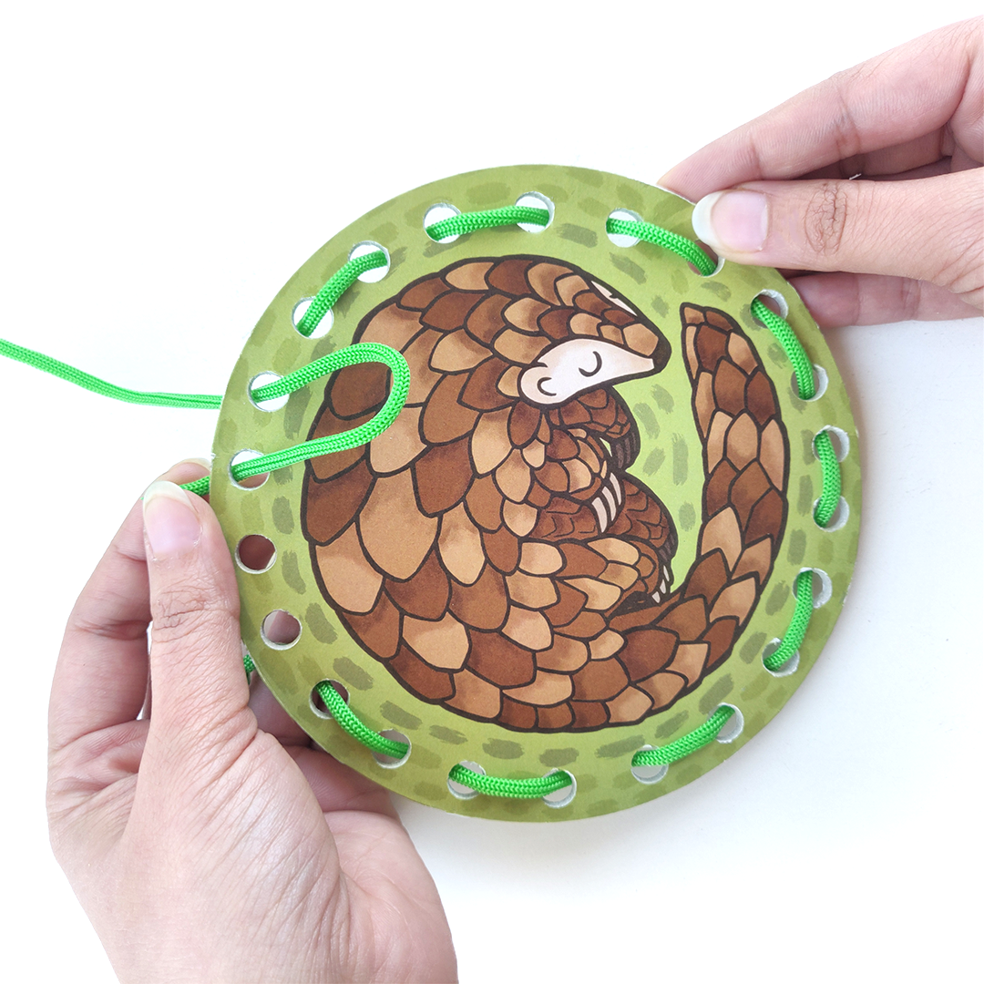 Lacing Cards