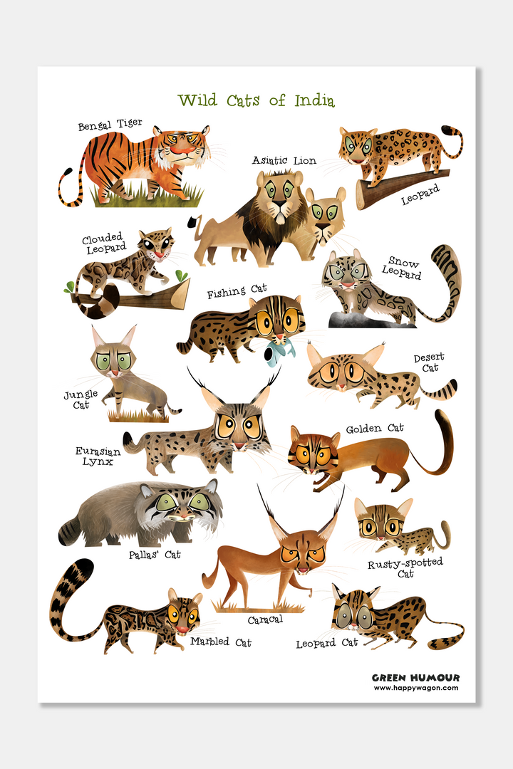 Wild Cats Of India Non-Tearable Poster
