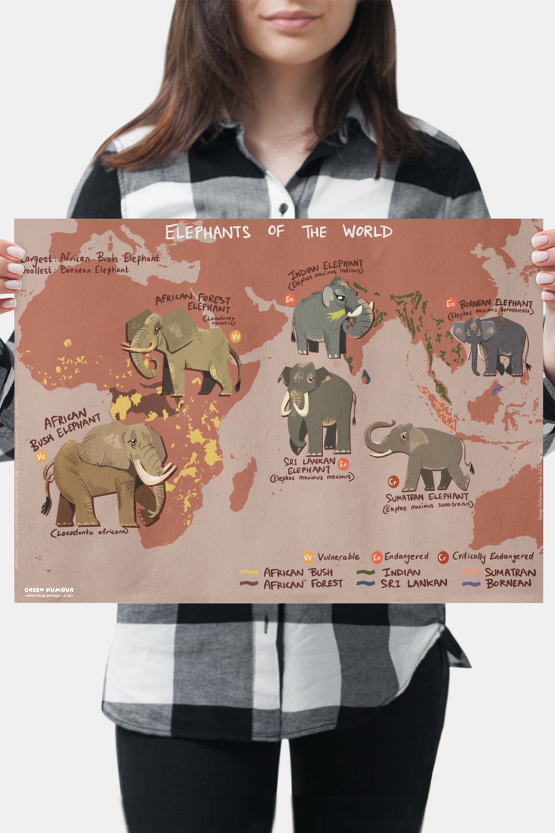 Elephants Of The World (Map) Non-Tearable Poster