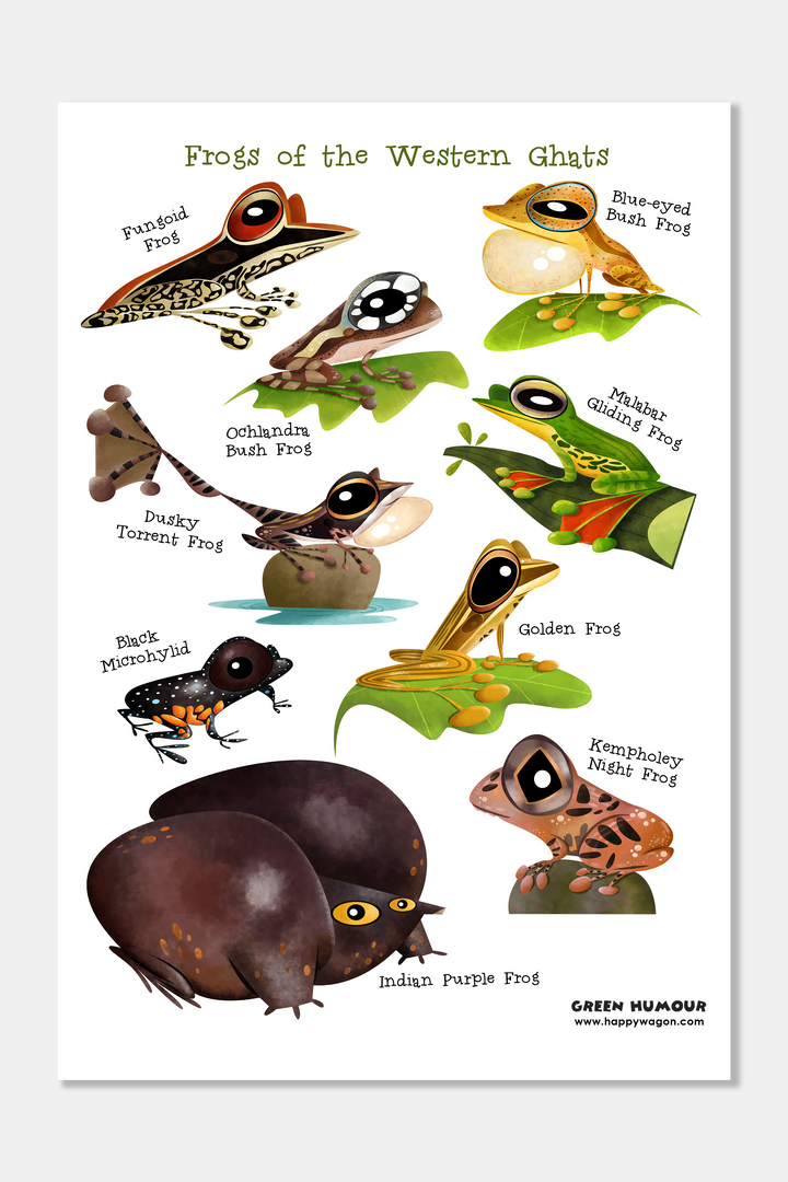 Frogs Of Western Ghats Non-Tearable Poster