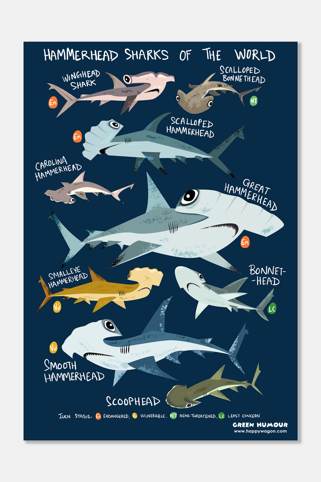 Hammerheads Sharks Of The World Non-Tearable Poster