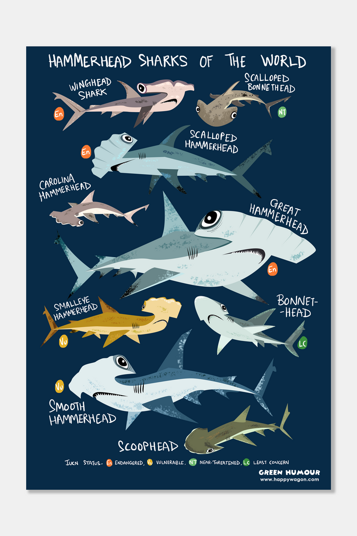 Hammerheads Sharks Of The World Non-Tearable Poster