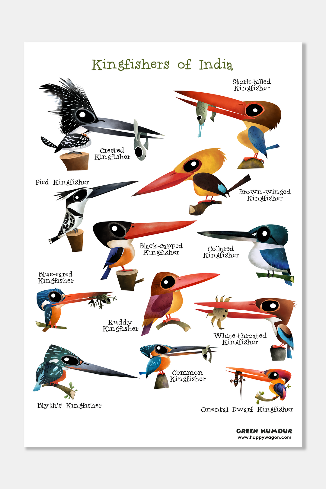 Kingfishers Of India Non-Tearable Poster
