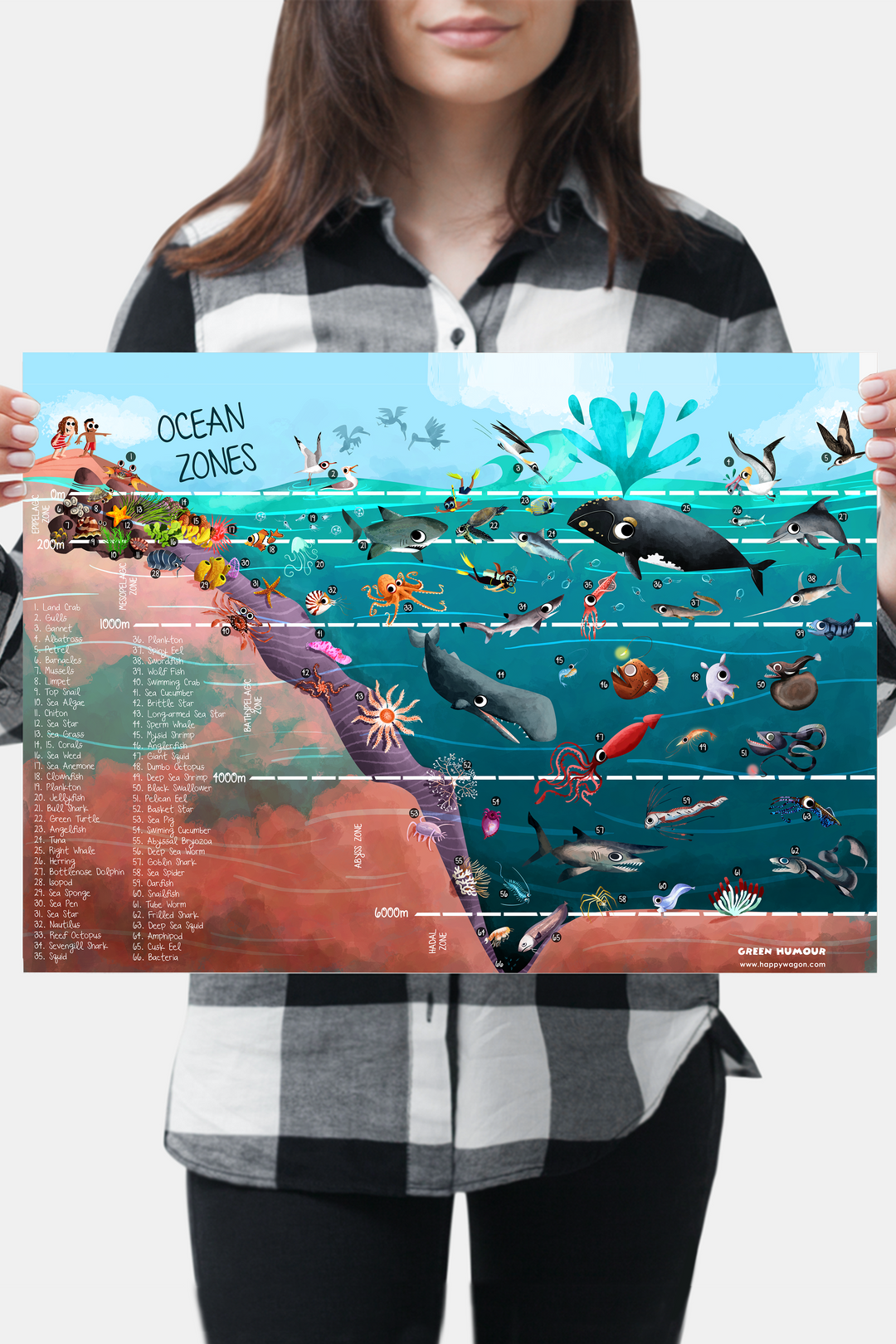 Ocean Zone Non-Tearable Poster