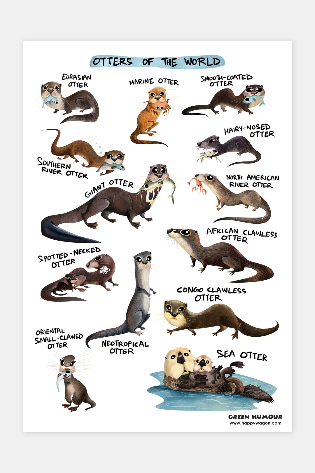 Otters Of The World Non-Tearable Poster