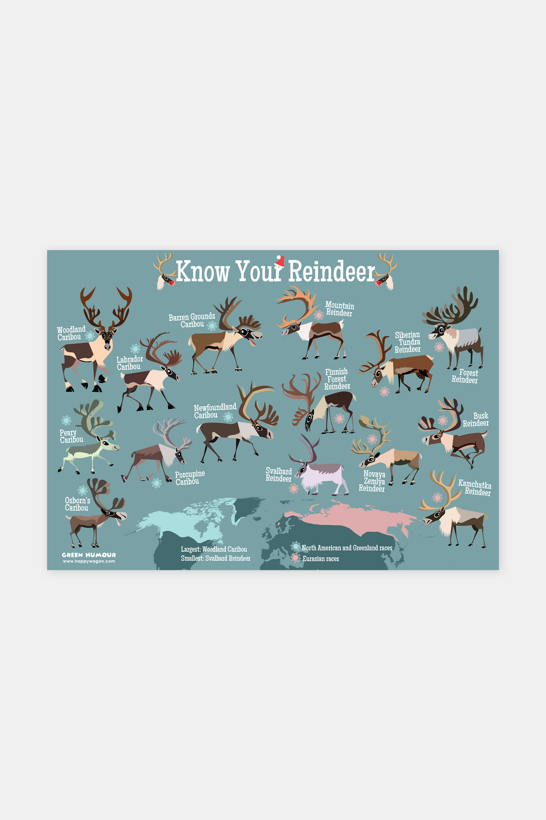 Know Your Reindeer (Map) Non-Tearable Poster