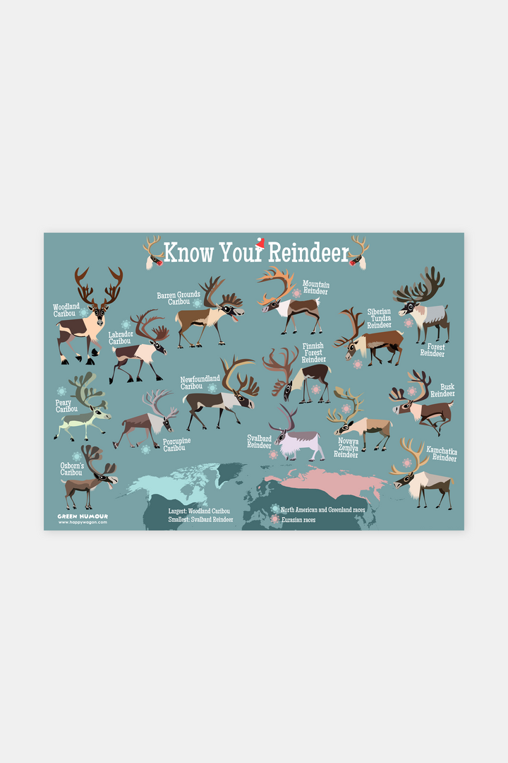 Know Your Reindeer (Map) Non-Tearable Poster