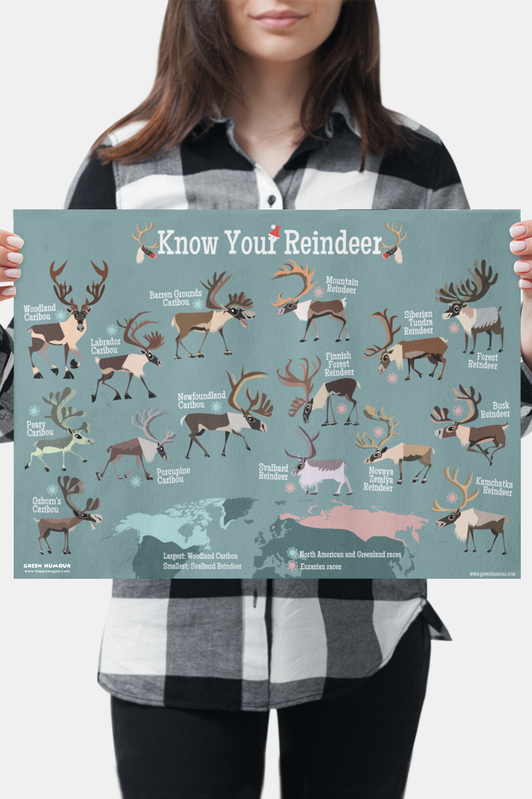Know Your Reindeer (Map) Non-Tearable Poster