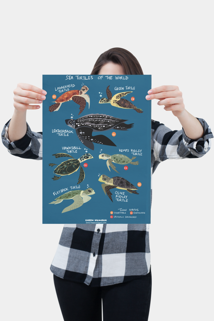 Sea Turtles Of The World Non-Tearable Poster