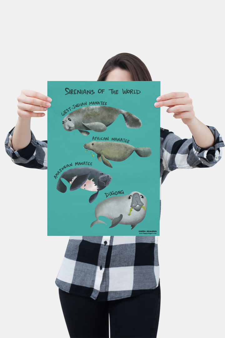 Sirenians Of The World Non-Tearable Poster