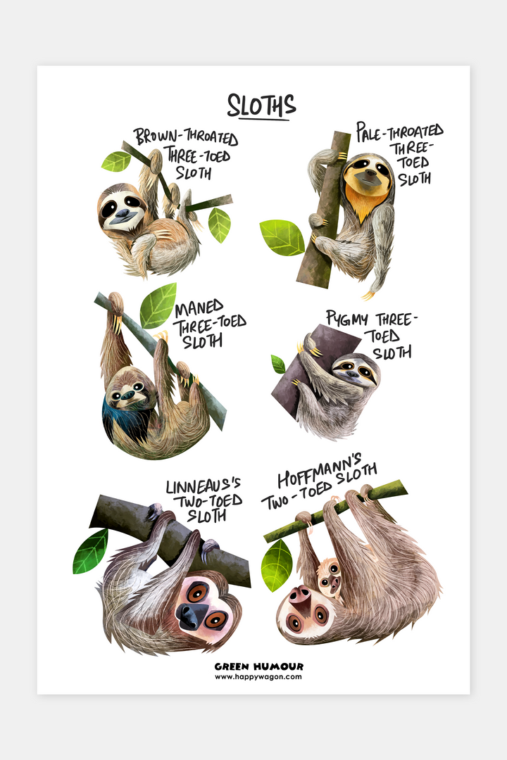 Sloth Non-Tearable Poster