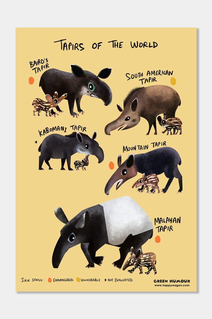 Tapirs Of The World Non-Tearable Poster
