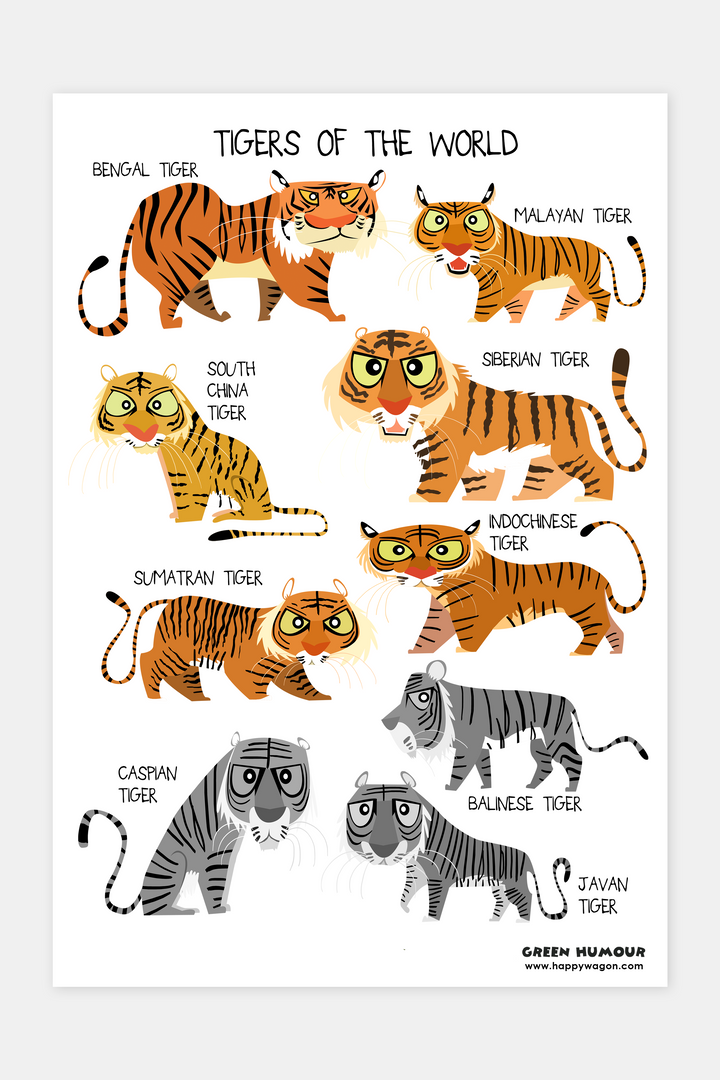 Tigers Of The World (compilation) Non-Tearable Poster