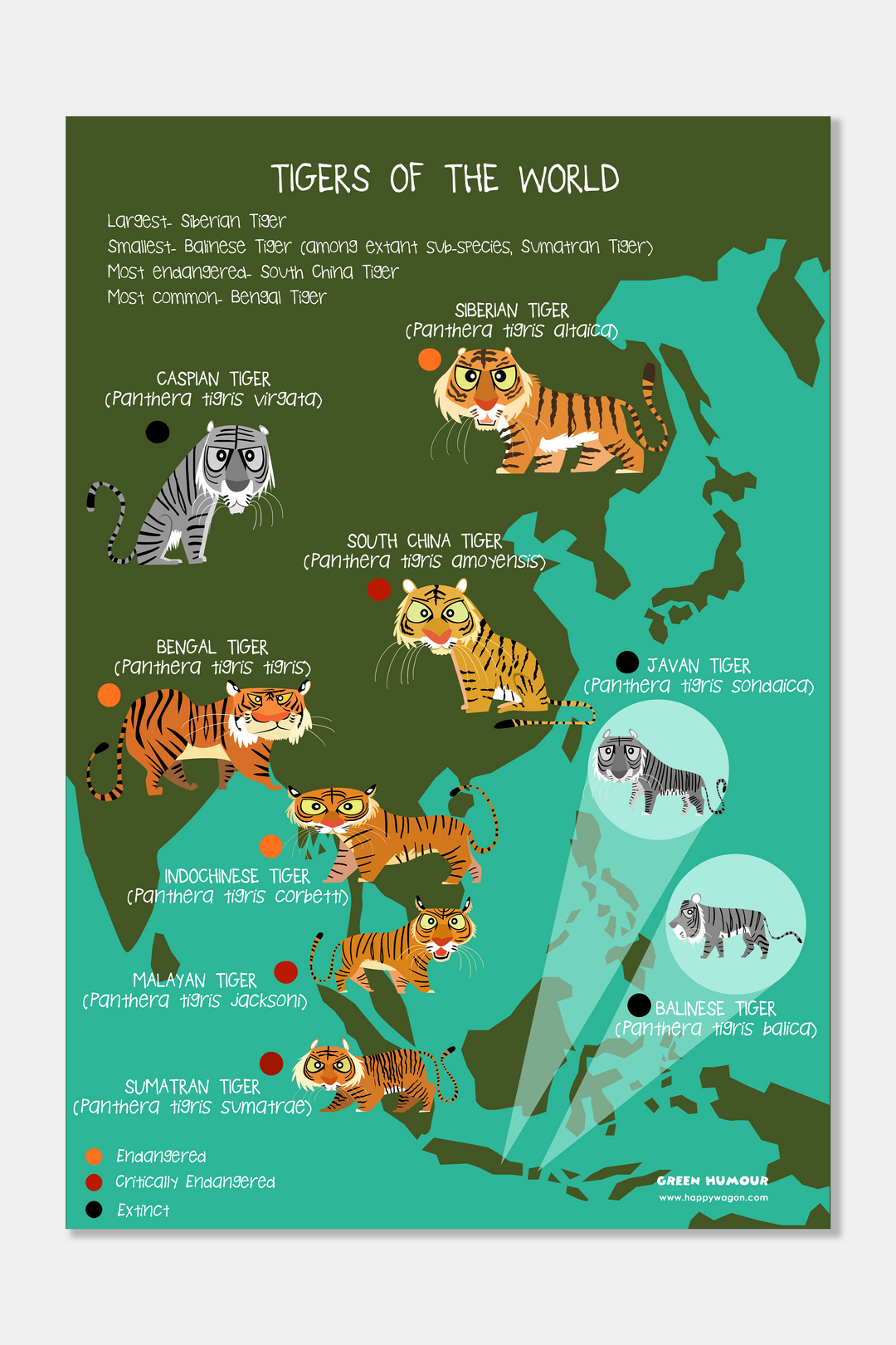Tigers Of The World (Map) Non-Tearable Poster