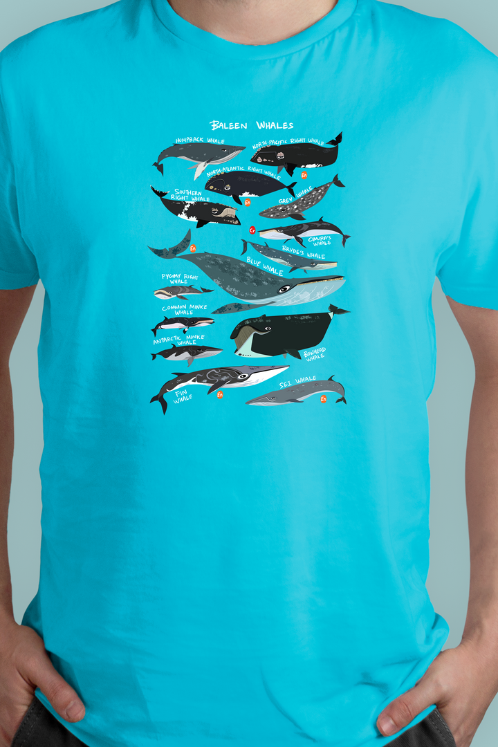Baleen Whales T-shirt